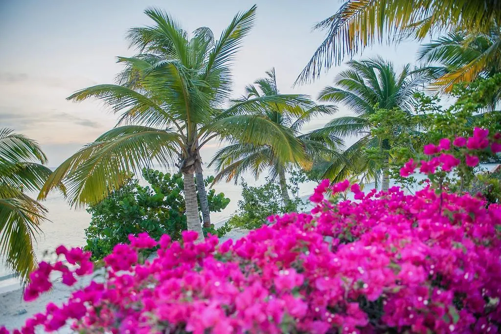 Aruba Surfside Marina Hotel Oranjestad