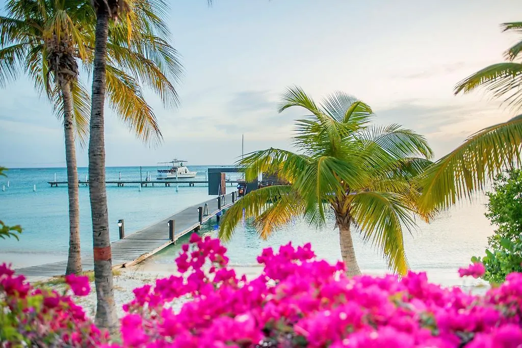 Aruba Surfside Marina Hotel Oranjestad
